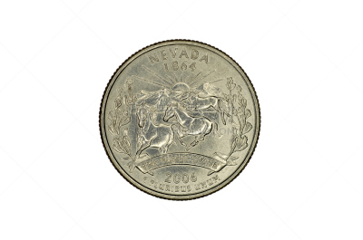 美国,1864,墨西哥野马,近景,动物背脊,内华达州,纪念品,正面视角,新的,水平画幅