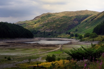 山,玛达尔山谷,河岸,野兔,坎布里亚,刺柏属丛木,英国,英格兰,英格兰湖区,水库