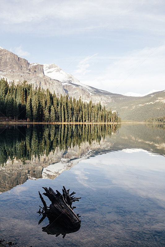 翡翠湖,垂直画幅,加拿大,湖岸,地形,山,无人,户外,大不列颠哥伦比亚,反射