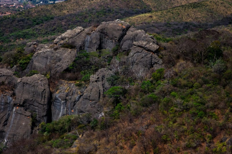 山,巴西,高原,地形,草,自然保护区,灌木,国内著名景点,树