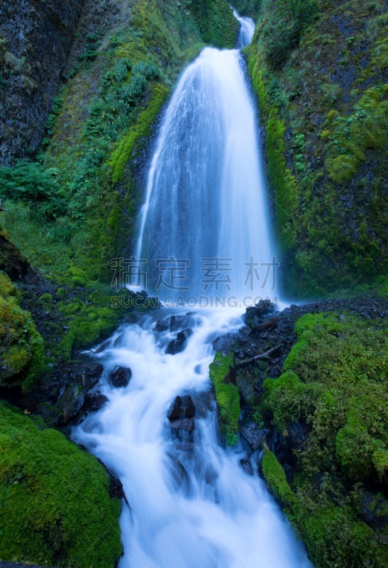 wahkeena waterfall,垂直画幅,水,哥伦比亚河谷,俄勒冈州,俄勒冈郡,美国,绿色,瀑布,无人