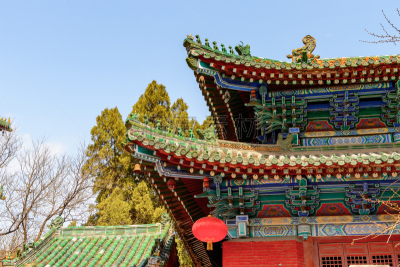 少林,宝塔,少林寺,寺庙,世界遗产,古董,武术,水平画幅,古老的