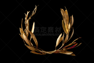 月桂花冠,奖杯,水平画幅,符号,橄榄枝,希腊,运动,华贵,奖,闪亮的