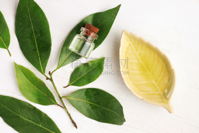 月桂树叶,瓶子,芳香疗法,清新,叶子,绿色,盘子,香熏油,印度草医学,水平画幅