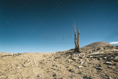 墨尔经,加利福尼亚内华达山脉,美国,水平画幅,无人,2015年,户外,加利福尼亚,徒步旅行,摄影