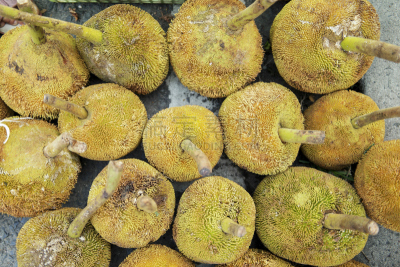 季节,水果,社区,白尖纹红鳂,沙巴州,水平画幅,婆罗洲岛,膳食,果汁,夏天
