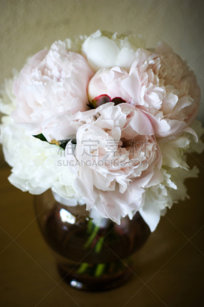 花束,牡丹,pink princess peony,垂直画幅,婚礼,无人,摄影,花