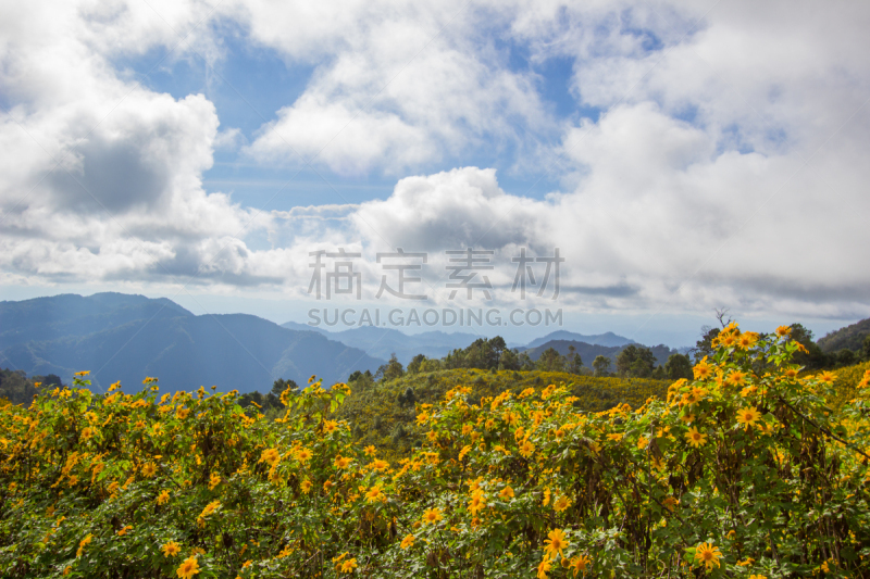 山,泰国,十二月,夜丰颂省,十一月,居住区,铀,北,花