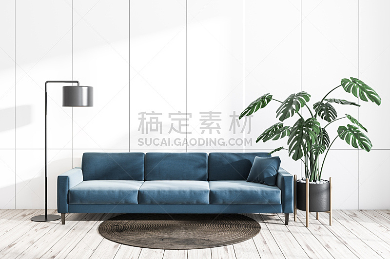 沙发,起居室,白色,蓝色,空的,华贵,舒服,现代,植物,三维图形