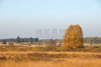 旷野,居住区,自然,摩尔人风格,宁静,水平画幅,地形,秋天,无人,户外
