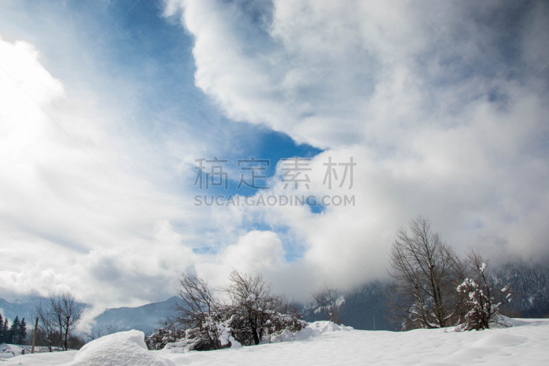 雪,滑雪场,保加利亚,冬天,地形,森林,山,罗多彼山脉,寒冷,云景