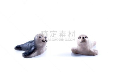 白色背景,海狮,特写,加利福尼亚兀鹫,加拉帕戈斯群岛,狮子,褐色,水平画幅,无人,美式足球