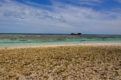 海伦岛,海滩,热带气候,世界遗产,自然美,礁石,珊瑚,海滩度假,澳大利亚