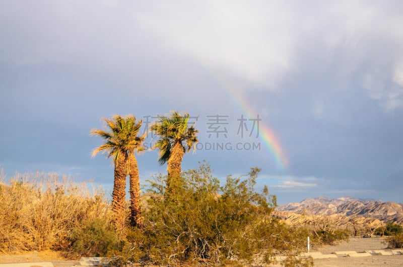 彩虹,火炉溪,在上面,国内著名景点,热,华贵,环境,加利福尼亚,沙漠,植物