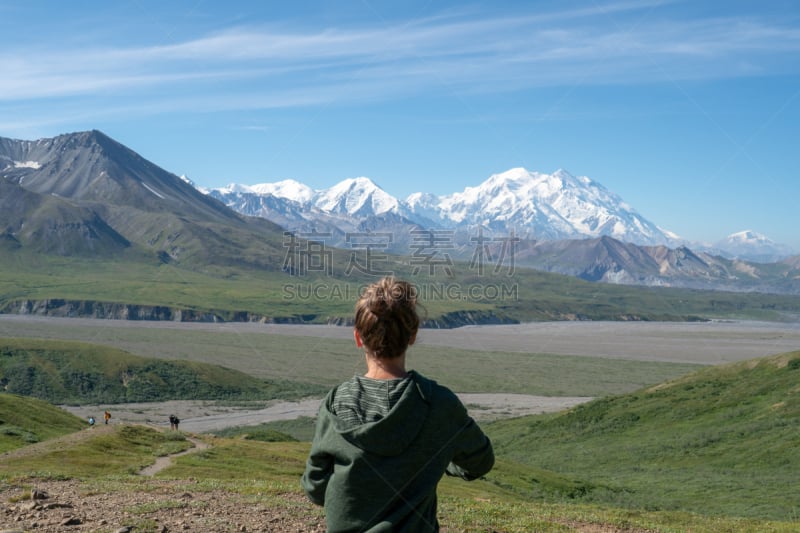 山脉,麦金利峰,一只动物,信心,概念,前面,雌性动物,旅行