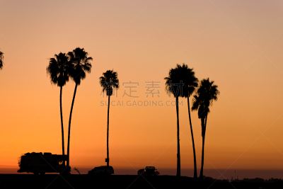 棕榈树,天空,留白,休闲活动,水平画幅,无人,阴影,户外,彩色背景,海滩