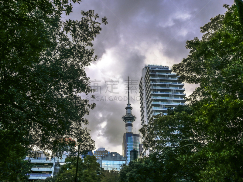 阿尔伯特公园,天空塔,都市风景,新西兰,传统,商务,现代,奥克兰,户外,天空