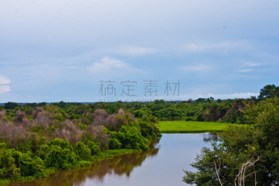 潘塔纳尔湿地,网状纹巨蟒,库亚巴河,月光草原,婴儿浴盆,凤眼莲,水虎鱼,木筏,马托塔罗索洲,蒙大拿州
