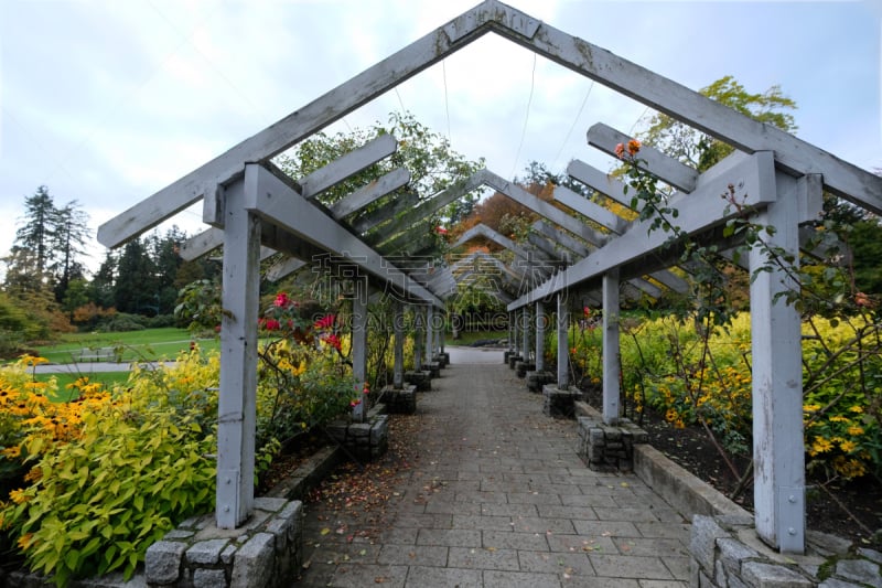 Rose garden in Stanley Park. Vancouver. British Columbia. Canada