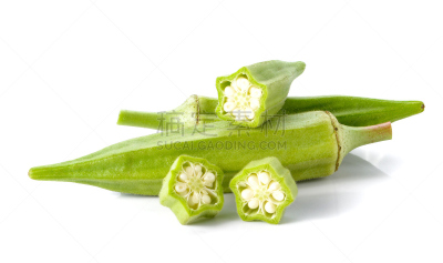 秋葵,白色背景,幽门螺旋杆菌,糖蛋白,胶浆,自然,蔬菜,清新,食品,生活方式