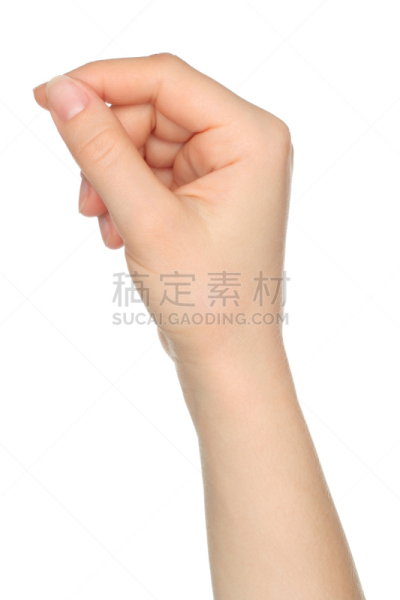手,纸牌,女人,拿着,动物出击,垂直画幅,四肢,白色背景,背景分离