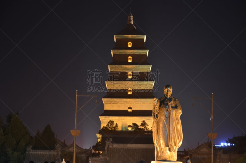 西安,建筑外部,宝塔,巨大的,野外动物,鹅肉,大雁塔,陕西省,水平画幅