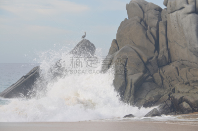圣路卢卡斯,鹈鹕,墨西哥,岩石,波浪,海滩,水平画幅,无人,鸟类,户外