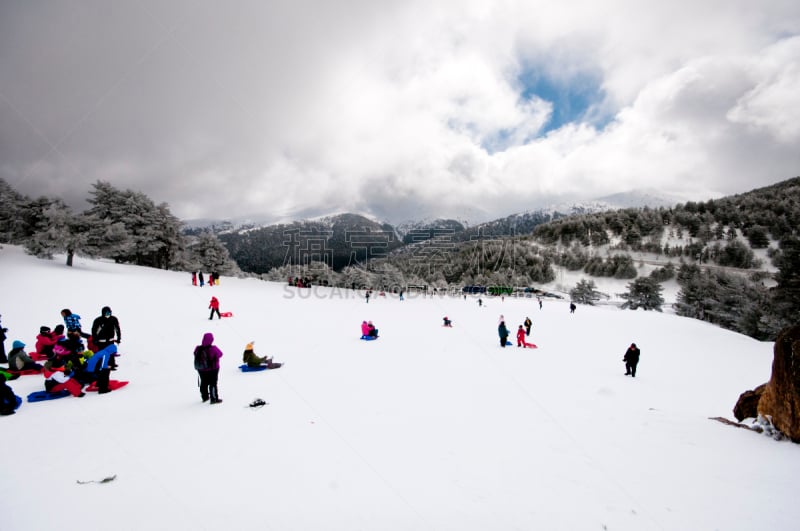 雪橇滑学,山,儿童,西班牙,瓜达拉马山脉,欧洲赤松,实地考察旅行,马德里,动物雪车,天空