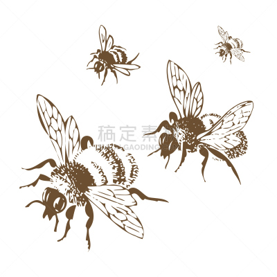 蜜蜂,雕刻图像,蜂蜜,绘画插图,矢量,古董,昆虫,蜂蜡,自然,褐色