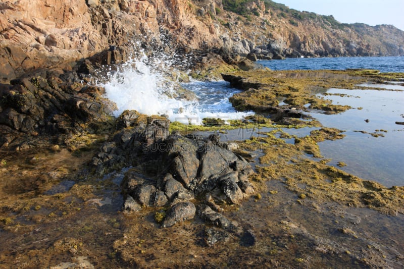 早晨,越南,洞穴,水獭,藩朗,水平画幅,苔藓,旅行者,海岸线,海滩