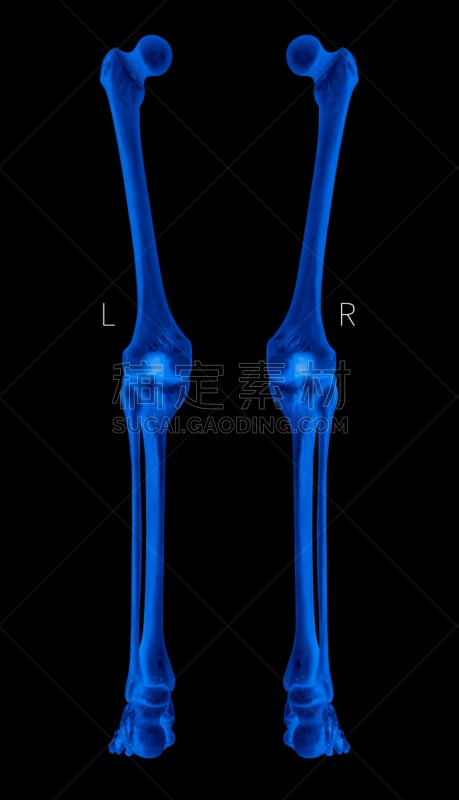 x光,蓝色,人,健康保健,三维图形,彩色图片,生物医学插图,腿骨,在之后