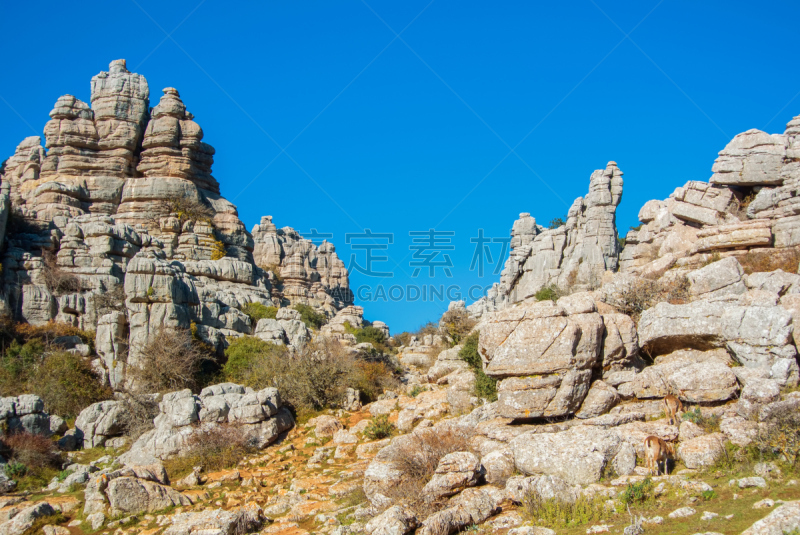 冬天,山,西班牙,风景,石头,在上面,安达卢西亚,白昼,树,靠近