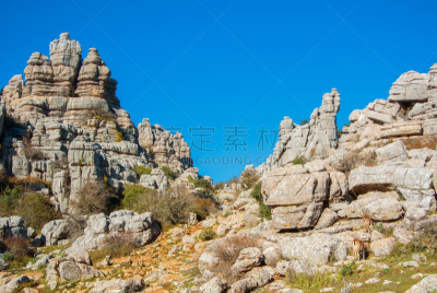 冬天,山,西班牙,风景,石头,在上面,安达卢西亚,白昼,树,靠近