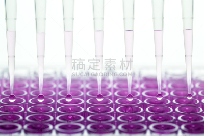 科学,pcr装置,基因检测,dna测试,干细胞,法学,纳米技术,生物科技,水平画幅,微生物学
