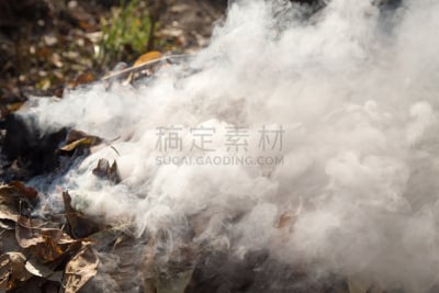 叶子,烟,哈萨克斯坦,黄色,草地保龄球,白昼,希思罗机场,风景线拱,图像