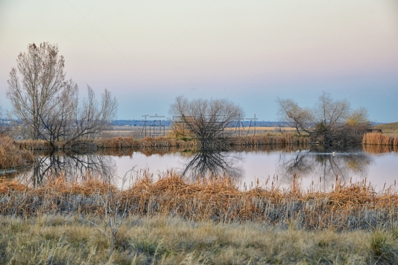 Views of Josh’s Pond walking path, Reflecting Sunset in Broomfield Colorado surrounded by Cattails, plains and Rocky mountain landscape during sunset. United States.