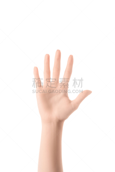 部分,哑语,数字5,分离着色,白色,女人,人,符号,垂直画幅,图像