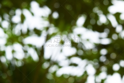 光,大量物体,背景虚化,绿色背景,暗色,几何形状,清新,泰国,受福,背景