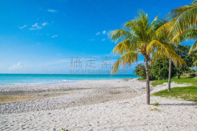 海滩,古巴,自然美,水平画幅,沙子,无人,夏天,户外,拉丁美洲,热带气候