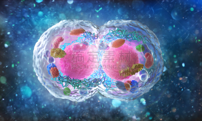 生物学,显微镜,三维图形,绘画插图,在下面,概念,细胞分裂,微生物学,球体,健康保健