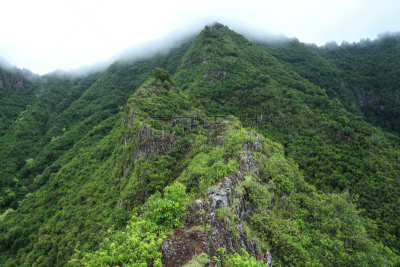 地形,山,雾,夏威夷人,瓦安娜海岸,悬崖,水平画幅,绿色,枝繁叶茂,岩石