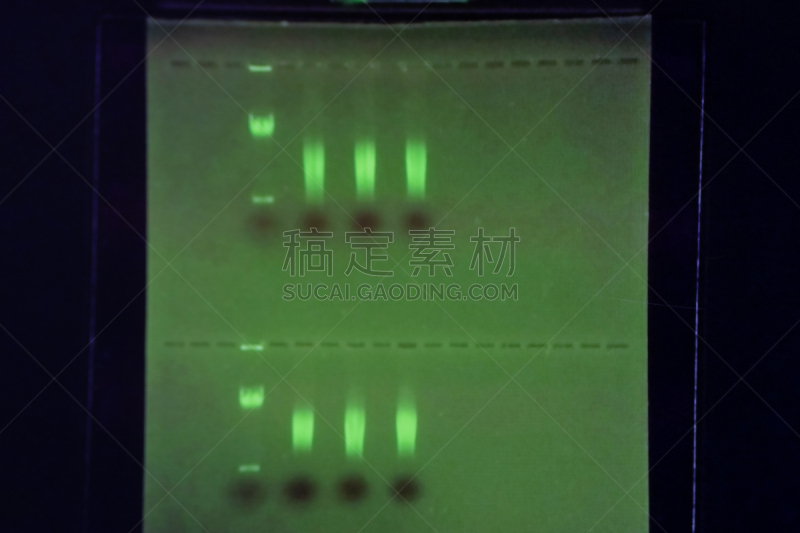 化学,生物化学,遗传研究,分子结构,实验室,生物学,古老的,dna测序,图像技术,微生物学