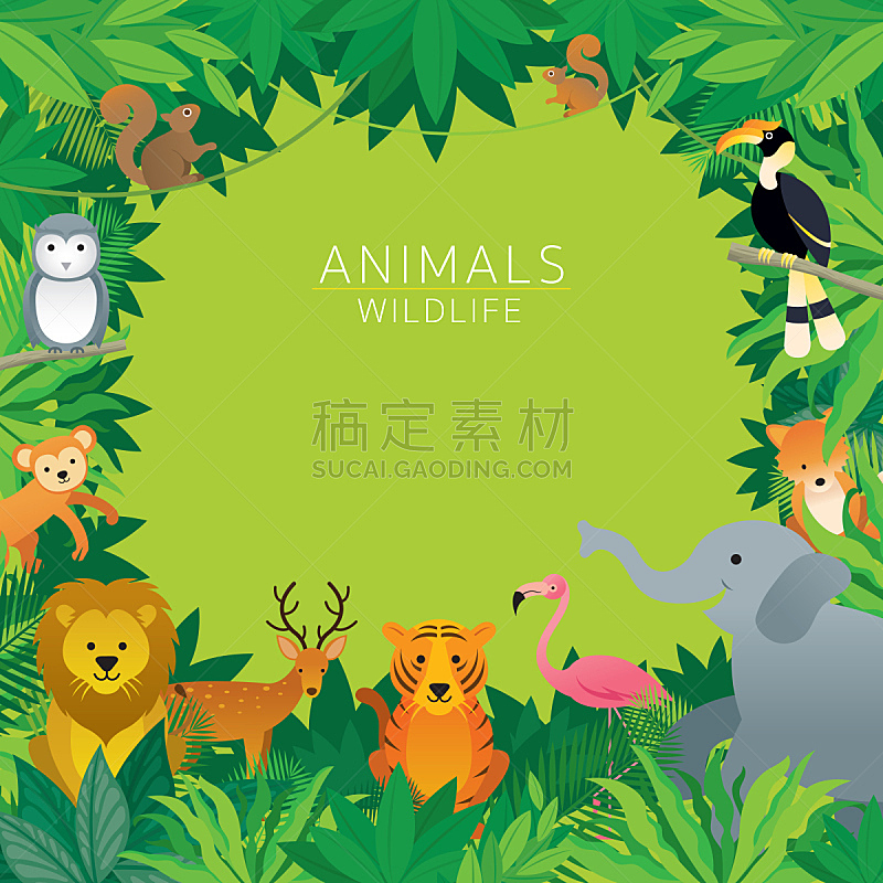边框,野外动物,热带雨林,猴子,可爱的,热带气候,野生动物,泰国,狮子,枝繁叶茂