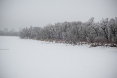 河流,寒冷,红河,环境,从容态度,霜,雪,天气,加拿大,温尼伯