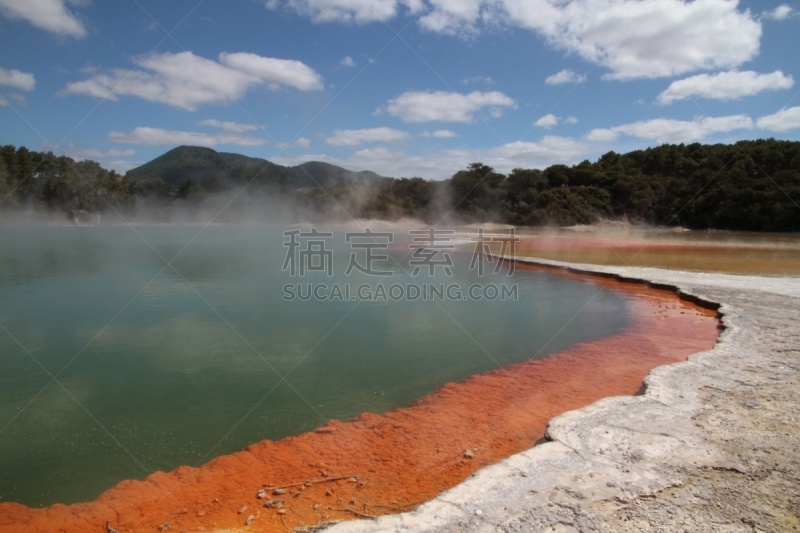 罗托鲁阿,新西兰,部分,一只动物,水,水平画幅,lake tarawera,无人,火山地形,户外