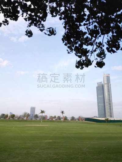 阿布扎比,自然,垂直画幅,公园,无人,建筑外部,户外,阿拉伯联合酋长国,棕榈树,波斯湾