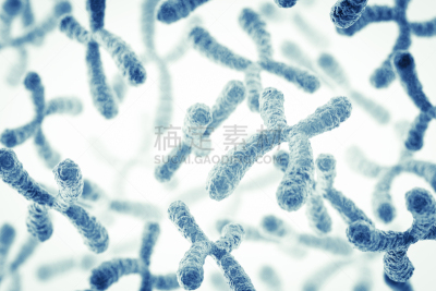 染色体,神经元,转基因,脱氧核糖核酸,微生物学,原子,生物科技,分子结构,生物学