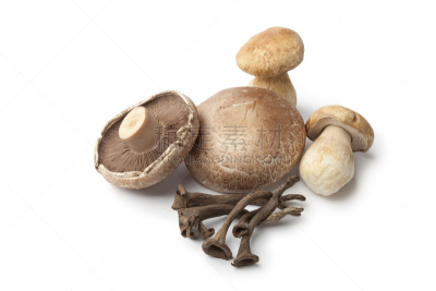 食用菌,清新,黑喇叭菇,波托贝洛蘑菇,porcini mushroom,水平画幅,无人,生食,白色背景,影棚拍摄