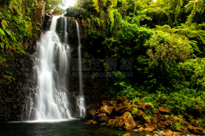 鲍马国家遗址公园,瀑布,taveuni,瓦努阿岛岛,南太平洋,自然,水平画幅,热带雨林,旅行者,户外