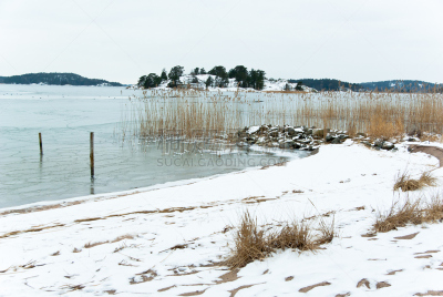 海滩,冬天,水,天空,水平画幅,雪,无人,户外,湖,滨水